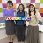 わいわいボックス バレンタインコンサート